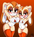  2_girls big_breasts bikini blush brown_eyes bunny_ears cream_the_rabbit curvy furry looking_at_viewer mother_&amp;_daughter sega small_breasts smile sonic_*(series) sonic_the_hedgehog_(series) tail vanilla_the_rabbit 