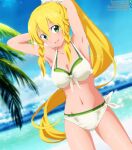 1girl alluring beach big_breasts breasts green_eyes leafa ocean shugo19 sword_art_online