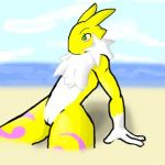  1_girl 3_fingers anthro anthro_canine anthro_fox anthro_vixen arm_warmers beach canine detached_sleeves digimon fox fur furry green_eyes lowres nude outdoors outside public pussy renamon sitting solo toei_animation vixen white_fur yellow_fur yin_yang 
