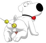 anal_insertion ball_gag brian_griffin family_guy male male_only