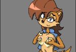  animated animated_gif black_nose blue_eyes breasts female furry gif lactating mammal milk nipples rodent sally_acorn sega sonic_(series) squeeze squirrel squirt trey_blaze wet 