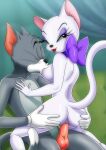  bbmbbf fur34* palcomix tom_(tom_and_jerry) tom_and_jerry toodles_galore 