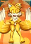 1girl bbmbbf furry miles_&quot;tails&quot;_prower millie_tailsko mobius_unleashed palcomix sega 