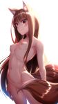  animal_ears breasts brown_hair dosu dosu_(doseven) fox_girl fox_tail high_resolution holo kitsunemimi nipples nude small_breasts smile spice_and_wolf tail 