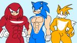  3boys abs bulge daitenga echidna fox hedgehog knuckles_the_echidna miles_&quot;tails&quot;_prower muscular_male nude sega sonic_the_hedgehog wide_hips 
