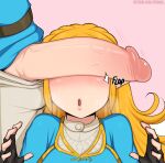  1boy 1girl afrobull bad_id bad_pixiv_id blonde_hair cant_see_the_haters covered_eyes erection flaccid head_out_of_frame hetero huge_penis link lips long_hair nintendo open_mouth penis penis_awe penis_on_face penis_over_eyes pink_background princess_zelda sidelocks solo_focus sweatdrop the_legend_of_zelda the_legend_of_zelda:_breath_of_the_wild tunic uncensored veins veiny_penis 
