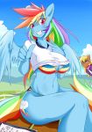  anthro belly blush bra breasts female friendship_is_magic looking_at_viewer midriff miss_harshwhinny my_little_pony navel panties rainbow_dash underwear wide_hips 