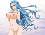  1girl alluring blue_hair breasts female nefertari_vivi nel-zel_formula nipples nude one_piece pussy 