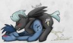  2boys anal anal_penetration black_fur blue_fur blush closed_eyes cum cum_in_ass cum_inside cum_splatter cutie_mark duo feral feral_on_feral friendship_is_magic from_behind gay male male_only multiple_boys musical_note my_little_pony noteworthy_(mlp) orgasm pegasus pony sex testicles thunderlane wingbonermaker wings 