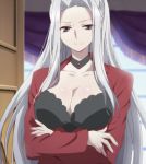 1girl anime big_breasts breasts choker cleavage female female_only grey_eyes greyworth_ciel_mais high_res necklace seirei_tsukai_no_blade_dance silver_hair smile solo_female stitched very_long_hair