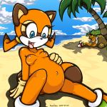 beach marine_the_raccoon miles_&quot;tails&quot;_prower multiple_tails palm_tree pregnant sega sonic sonic_*(series) sonic_the_hedgehog_(series) sonicdash tail
