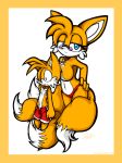  canine character_request fox furry miles_&quot;tails&quot;_prower milf multiple_tails sega sonic sonic_(series) sonic_the_hedgehog_(series) sonicdash tail 