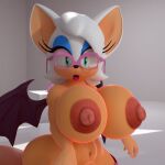 999 female_only furry furry_female furry_only glasses looking_at_viewer rouge_the_bat sega shocking_(artist) sonic_the_hedgehog_(series)