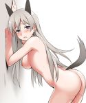  1girl against_wall animal_ears ass blue_eyes blush breasts cowboy_shot eila_ilmatar_juutilainen from_side long_hair looking_at_viewer nipples nude open_mouth pussy_juice silver_hair solo strike_witches tail tears very_long_hair youkan 
