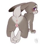 1girl anthro anus ass disney female furry judy_hopps melvismd nude purple_eyes pussy rabbit smile solo tail zootopia