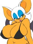 1girl 2014 anthro bat big_breasts bikini breasts cleavage clothed clothing female female_only furry hair huge_breasts mammal navel rouge_the_bat sega seth65 smile solo_female sonic_*(series) sonic_the_hedgehog_(series) speeds swimsuit upper_body wings