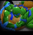  leonardo teenage_mutant_hero_turtles teenage_mutant_ninja_turtles venus_de_milo 