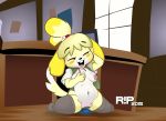animal_crossing animal_crossing_new_leaf anthro areola black_nose breasts canid canine canine_humanoid closed_eyes clothed clothing cute dildo dildo_sitting dog doubutsu_no_mori erect_nipples eyelashes female furry gif hair hair_tie hand_on_head holding_breasts humanoid_hands insertion inside isabelle_(animal_crossing) jingle_bell kneel legwear loop mammal masturbation navel nintendo nipples on_floor open_mouth penetration ponytail pussy r!p r!p_(artist) secretary sex_toy shih_tzu shizue_(doubutsu_no_mori) snout solo spread_legs spreading stockings tailwag thick_ass thick_legs thick_thighs tongue vaginal vaginal_insertion vaginal_penetration video_games window yellow_fur