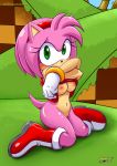  1girl amy_rose bbmbbf black_nose blush boots bottomless bracelet breasts grass green_eyes headband looking_at_viewer mobius_unleashed navel outdoors palcomix pink_fur sega shame short_hair short_tail sonic_(series) sonic_the_hedgehog_(series) tan_fur undressing white_gloves 