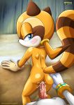  ass blush horny marina_the_racoon pussy smile sonic_the_hedgehog tagme 