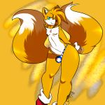  1girl anthro ass blue_eyes canine clothing erection fox girly humanoid_penis looking_at_viewer male mammal miles_&quot;tails&quot;_prower moneychan multiple_tails naughty_face penis poking_out seductive sega smile testicles thong wide_hips 