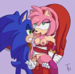  1girl 2015 amy_rose anal anal_penetration anthro areola breasts double_penetration echidna erect_nipples erection group group_sex hedgehog knuckles_the_echidna male male/female mammal monotreme nipples nude penetration penis pussy sega sex sonic_(series) sonic_boom sonic_the_hedgehog sonic_the_hedgehog_(series) testicles the_other_half threesome vaginal vaginal_penetration 