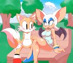  1girl 2015 age_difference anthro bat blush canine cloudz cub duo fox larger_female male mammal miles_&quot;tails&quot;_prower older_female rouge_the_bat sega size_difference smaller_male smile sweat wings young younger_male 
