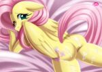  bbmbbf equestria_untamed fluttershy fluttershy_(mlp) hasbro my_little_pony my_little_pony:_friendship_is_magic palcomix 