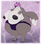  1girl abstract_background anthro anuv belly big_breasts border breasts bulge canine cappuccino chubby clothed clothing dickgirl fox full_body intersex mammal nipples overweight penis pink_eyes pink_hair pose thong underwear voluptuous white_border wide_hips 