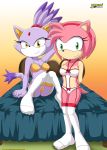 2girls amy_rose animal_ears bbmbbf bed blaze_the_cat breasts furry green_eyes hair lingerie looking_at_viewer mobius_unleashed multiple_girls palcomix pink_hair sega short_hair smile sonic_(series) sonic_the_hedgehog_(series) tail yellow_eyes 