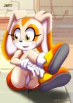  1girl bbmbbf cream_the_rabbit female_only mobius_unleashed nude nude_female palcomix pussy pussy_lips sega shoes sonic_(series) sonic_the_hedgehog_(series) 