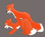 disney the_fox_and_the_hound tod todd vixey 