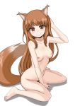  1girl aeg_(mocking6) animal_ears blush breasts brown_hair holo horo long_hair looking_at_viewer nipples nude red_eyes simple_background sitting smile solo spice_and_wolf tail wariza white_background wolf_ears wolf_tail 