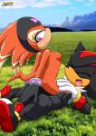  bbmbbf furry mobius_unleashed palcomix sega shade_the_echidna shadow_the_hedgehog 