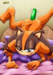  1girl bbmbbf dildo furry mobius_unleashed palcomix sega sonic sonic_(series) sonic_boom sonic_the_hedgehog_(series) sticks_the_jungle_badger tagme 