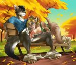 1girl 2015 anthro autumn bench black_hair blonde_hair breasts canine clothed clothing cum cum_in_mouth cum_inside detailed_background duo erection feline fox furlana_(artist) furry grey_fox hair kesik knot male male/female mammal nipples oral outside pants_down park park_bench partially_clothed penis saber-toothed_cat shirt_down sitting sky