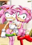  2_girls 2girls amy_rose amy_rose_(classic) bbmbbf mobius_unleashed palcomix pink_hair rosy_the_rascal sega selfcest sonic_(series) sonic_*(series) sonic_the_hedgehog_(series) tagme 