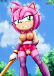  1girl amy_rose bbmbbf big_breasts breasts erect_nipples furry looking_at_viewer mobius_unleashed palcomix pussy sega smirking sonic_(series) sonic_boom sonic_the_hedgehog_(series) torn_clothes 