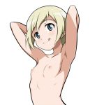  1girl 1girl 1girl armpits arms_behind_head blonde blue_eyes blush breasts clavicle closed_mouth erica_hartmann eyebrows_visible_through_hair looking_at_viewer monousa nipples nude shiny shiny_hair shiny_skin short_hair simple_background small_breasts smile strike_witches tongue tongue_out upper_body white_background world_witches_series 