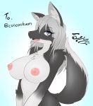  1girl 1girl 2016 anthro areola big_breasts black_fur blue_background blue_eyes breasts canine english_text fox fur furry grey_fur grey_hair hair inner_ear_fluff long_hair looking_at_viewer mammal navel nipples nude open_mouth signature simple_background smile tailzkim teeth text tuft white_fur 