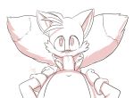 anthro aogami cub fellatio first_person_view furry high_res male male/male miles_&quot;tails&quot;_prower oral sega sex white_background young 
