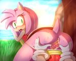  amy_rose pussy sonic_(series) tagme wet 
