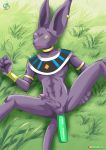  1boy anal anal_penetration bbmbbf beerus dildo dragon_ball dragon_ball_super dragon_ball_z feline gay male male_only masturbation outdoors palcomix purple_skin rear_deliveries solo sphynx tagme yaoi 