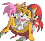  amy_rose anal anthro furry handjob knuckles_the_echidna miles_&quot;tails&quot;_prower penis sega senshion sex sonic_boom 