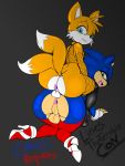  2016 anthro anus canine clothed clothing crossdressing fingerless_gloves fox furry girly gloves hedgehog legwear male mammal miles_&quot;tails&quot;_prower presenting requilipto_(artist) sega stockings testicles thecon 
