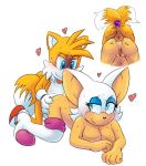  1girl 2016 anal anal_penetration anthro anus ass bat big_breasts breasts canine dildo duo erection extraspecialzone fox furry heart male mammal miles_&quot;tails&quot;_prower nude penetration penis pussy rouge_the_bat sega sex sex_toy testicles white_background 