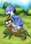  anal anal_sex avian bird blue_fur brown_fur gay interspecies mordecai on_grass outdoors penis raccoon rear_deliveries regular_show rigby yaoi 