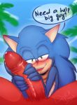  anthro duckyeah furry handjob knuckles_the_echidna male male/male sega sonic_(series) sonic_the_hedgehog sonic_the_hedgehog_(series) yaoi 
