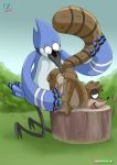  anal analingus bird blue_fur blue_jay brown_fur mordecai outdoors penis raccoon rear_deliveries regular_show rigby size_difference tree_stump yaoi 