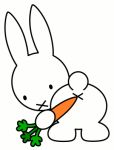  animated bunny carrot gif miffy professor_fapsanders 
